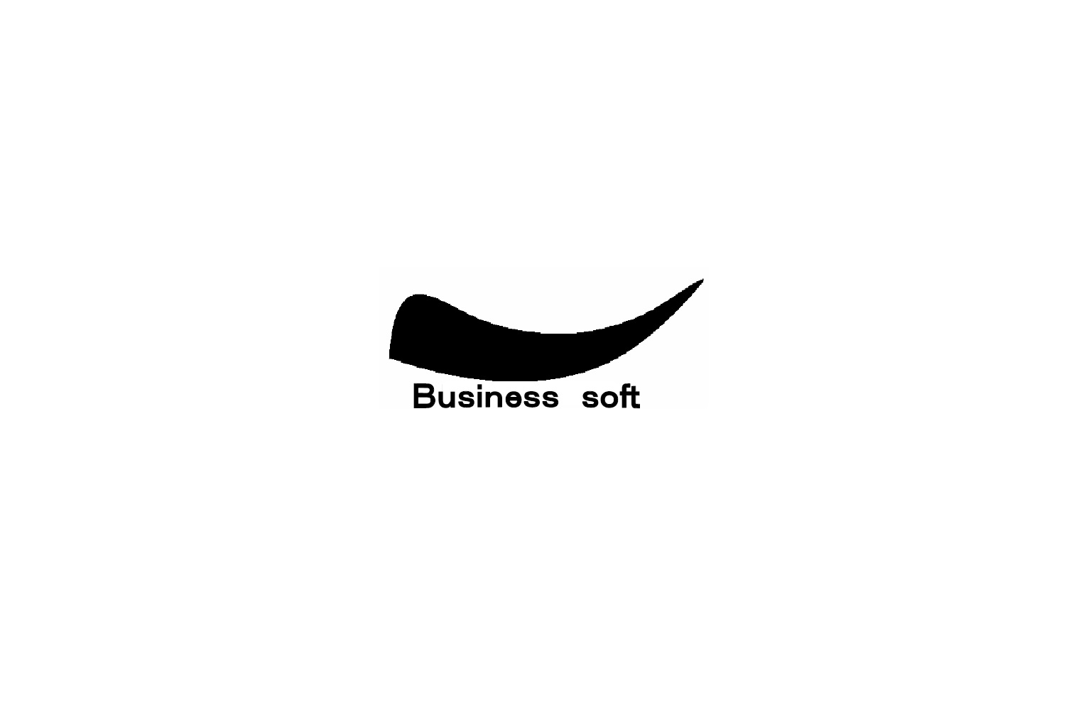Businesssoft_logo