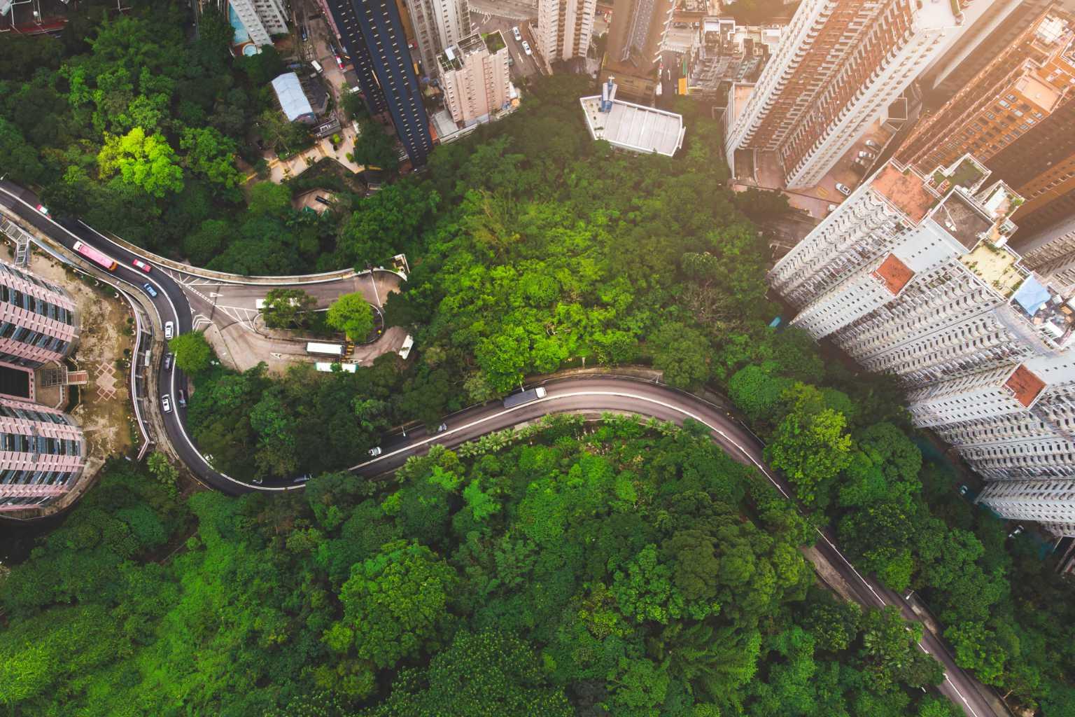 Arial view urban green space road