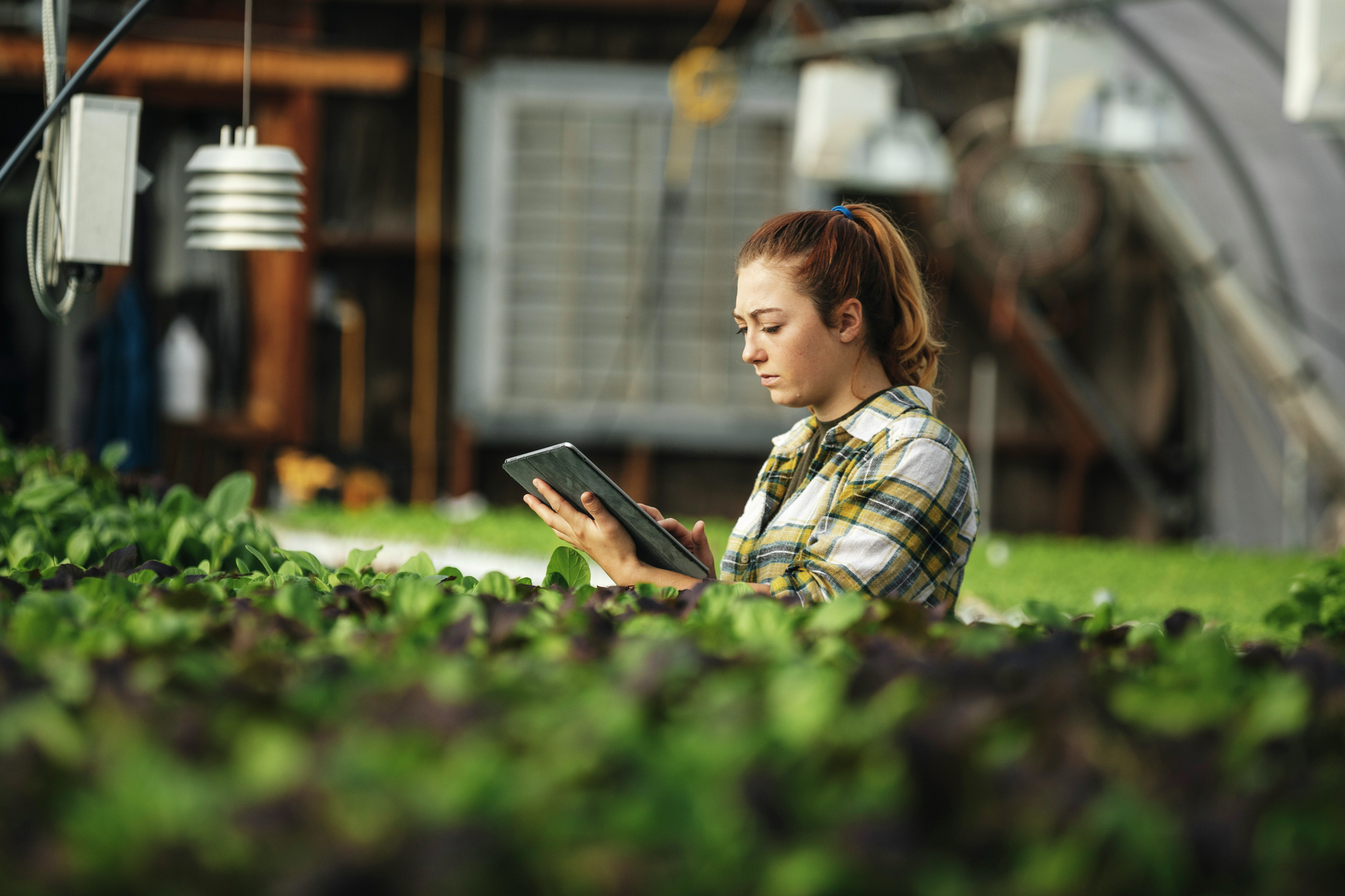 Female farm worker using digital tablet in greenhouse