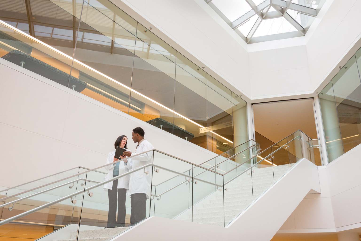 two doctors talking on stairway landing