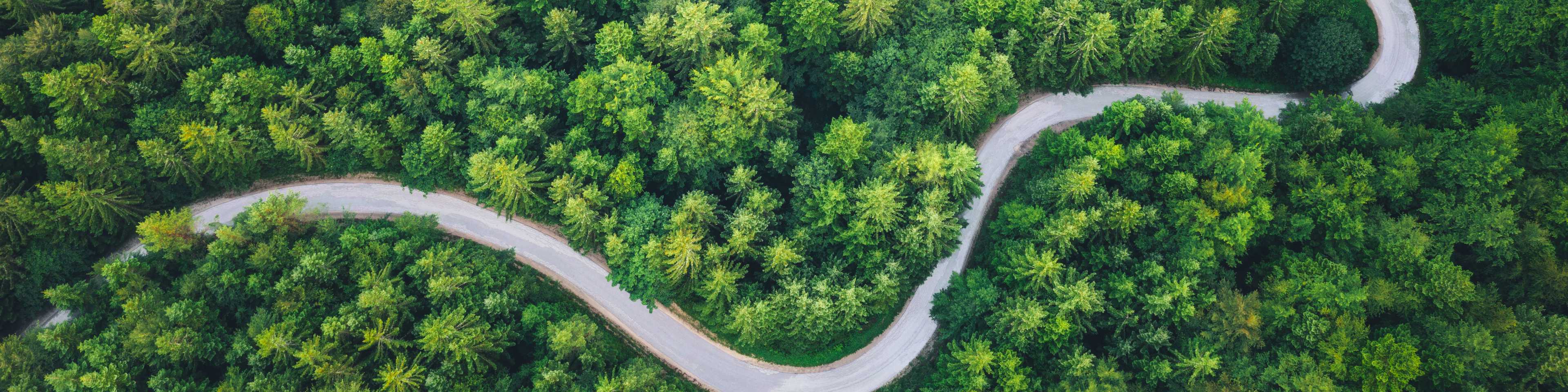 Arial winding mountain road