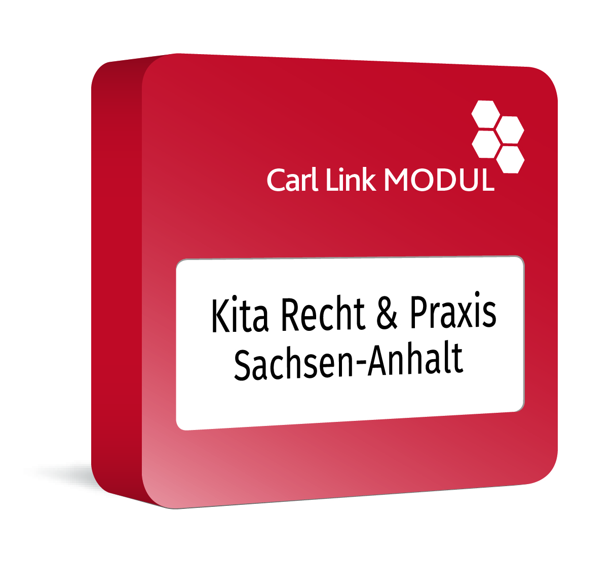 Kita Recht & Praxis Sachsen-Anhalt