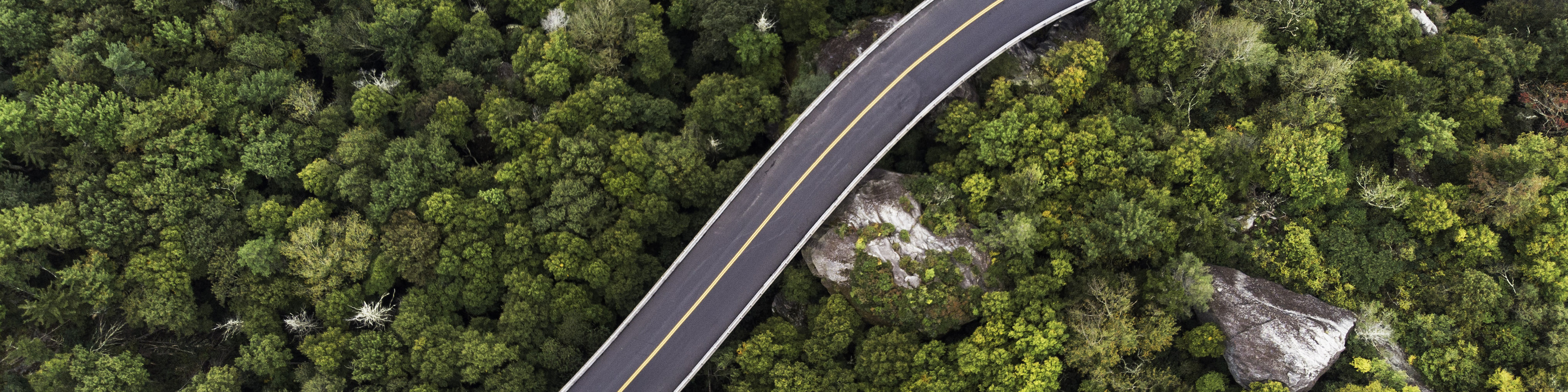 Aerial View of a road winding through a forest