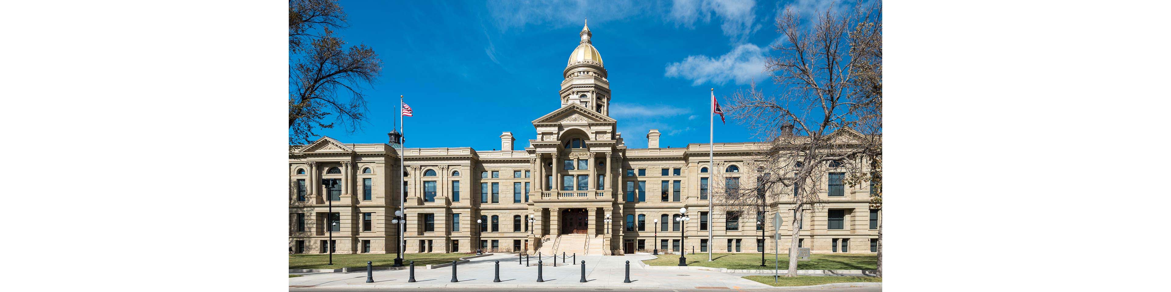 Wyoming Authorizes a New Business Entity – the Statutory Foundation
