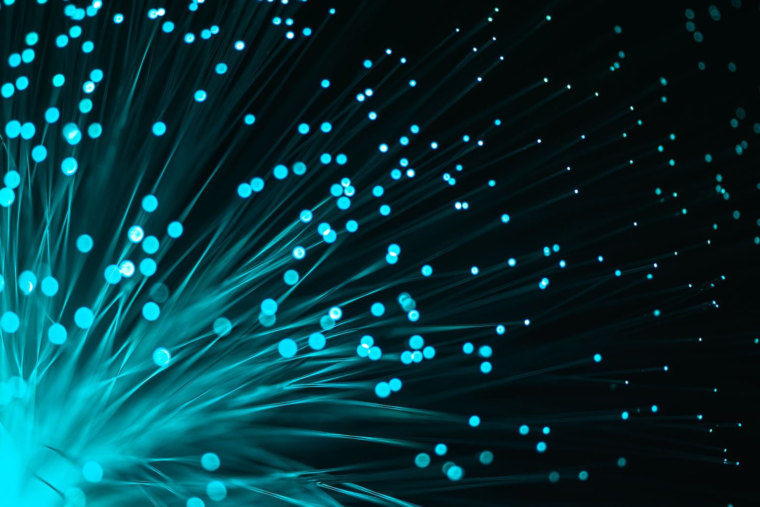 Fiber Optics With Green Blue Light Color Illuminated on Black Background
