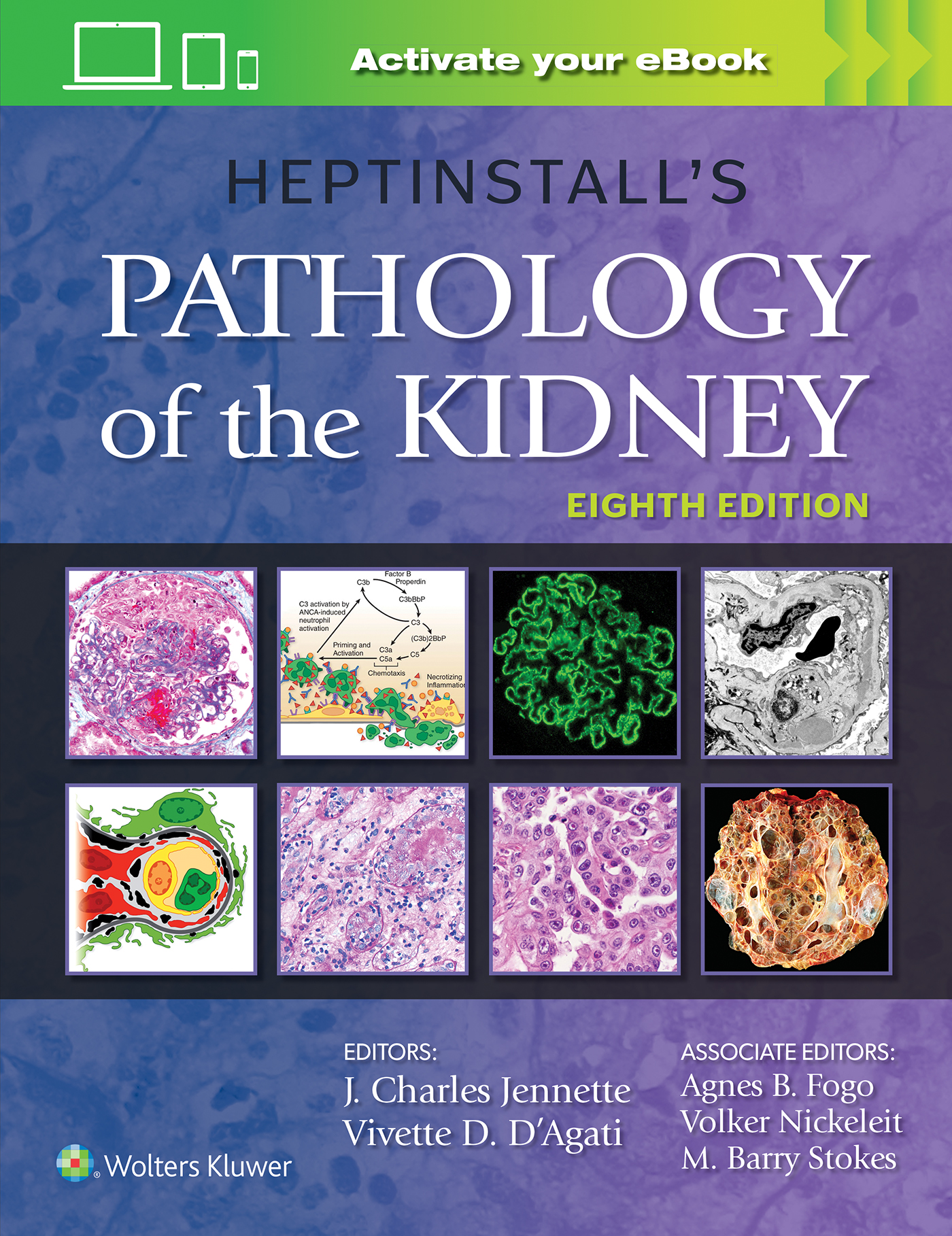 Heptinstall's Pathology of the Kidney, 8th Edition | Wolters Kluwer