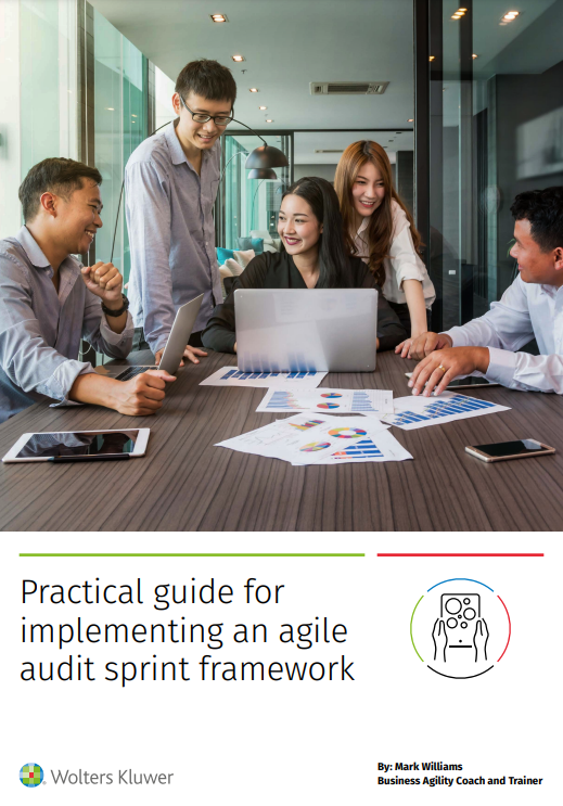 Cover of Practical guide for implementing an agile audit sprint framework