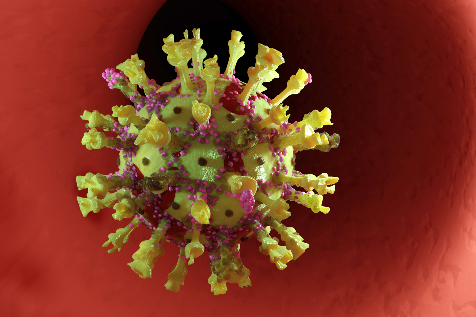 3D Illustration of a Coronavirus aka COVID-19