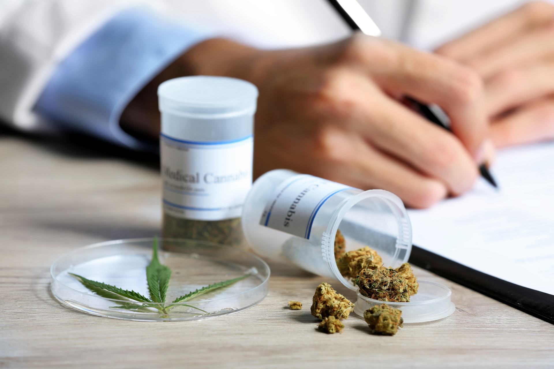Medical cannabis and prescription bottle