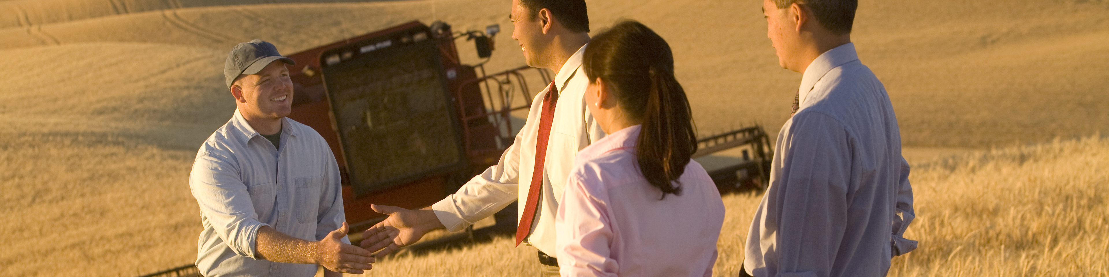 Farmers and software representatives