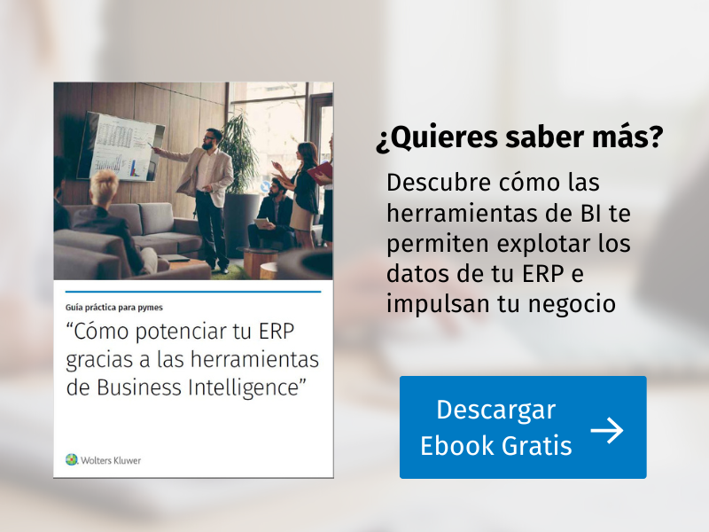 banner ebook erp business intelligence