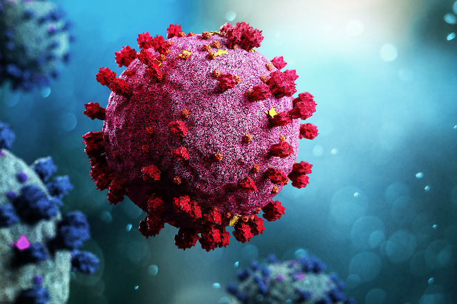 Microscopic Image of COVID-19 Virus