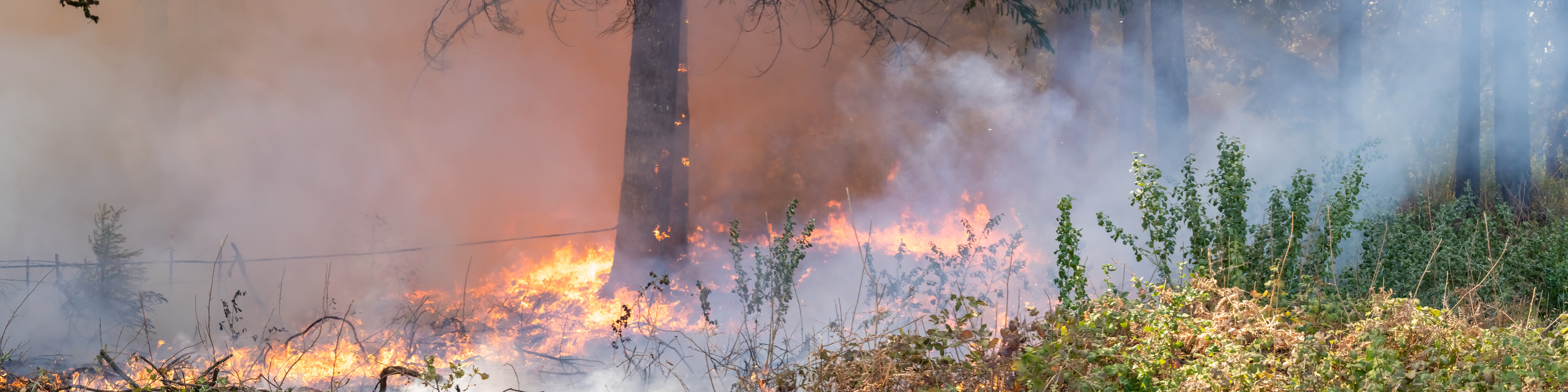 IRS announces tax relief for Colorado victims of recent wildfires and straight-line winds