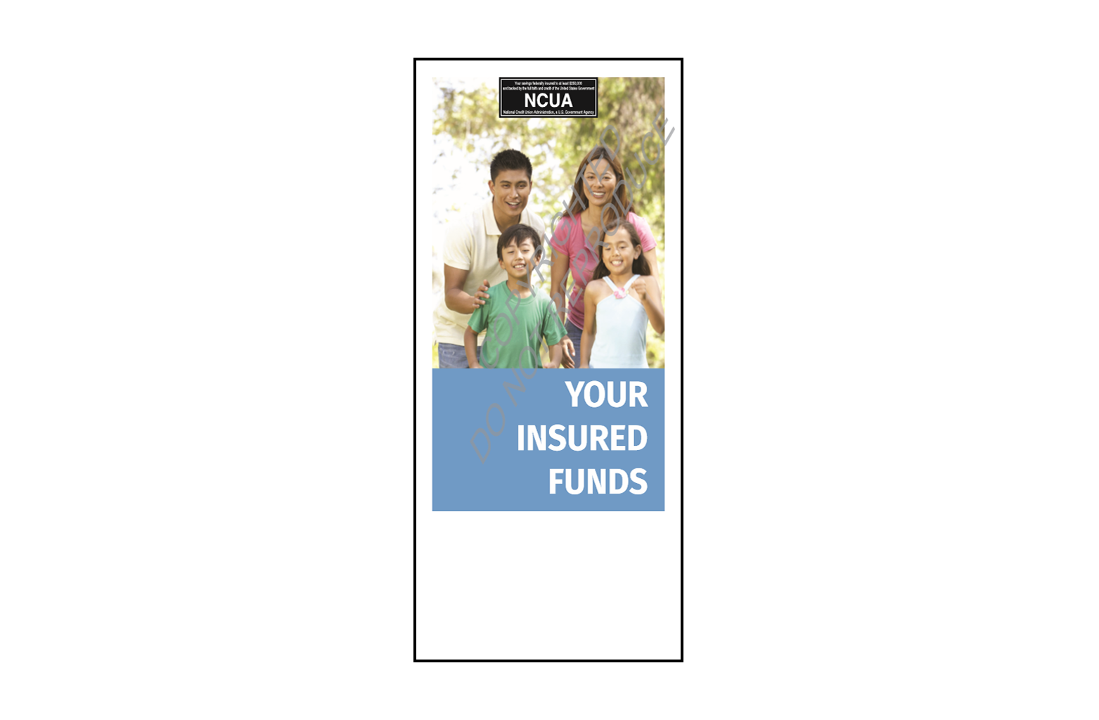 National Credit Union Association Your Share Insurance Brochure