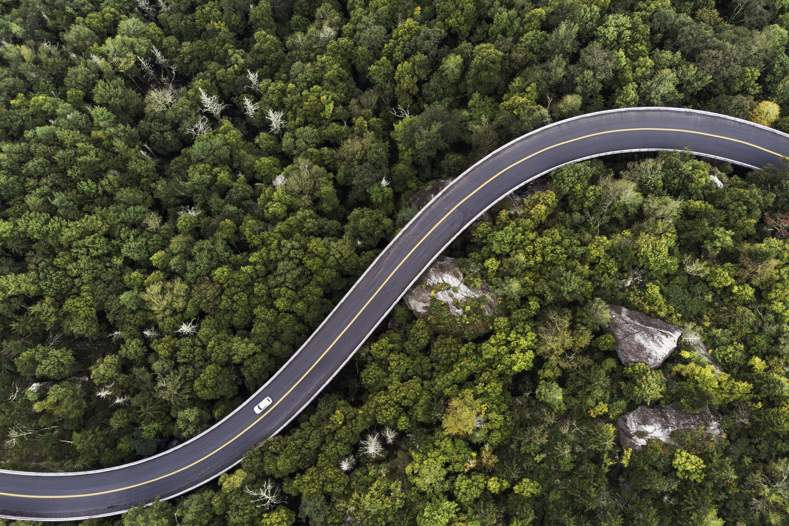 EY webinar: Navigating the sustainability horizon in Ireland – data challenges, regulatory frameworks, and solutions