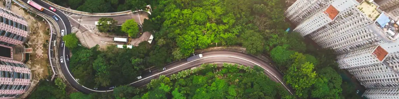 Arial view urban green space road