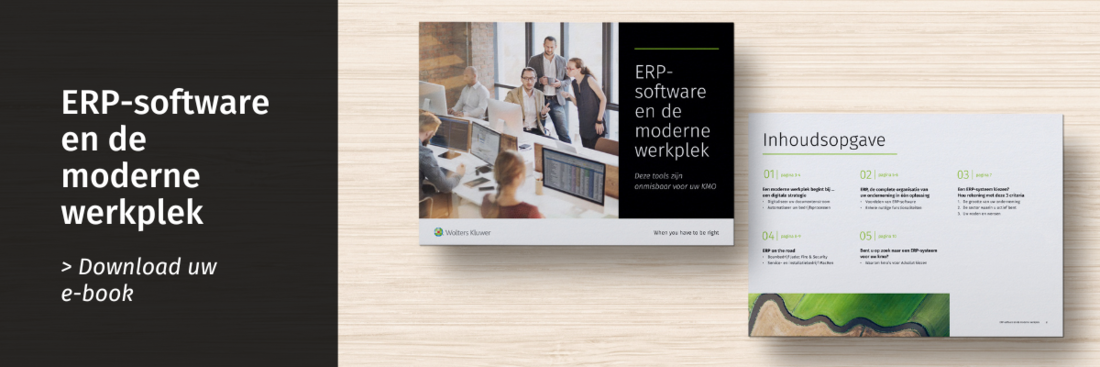 Download e-book ERP-software 
