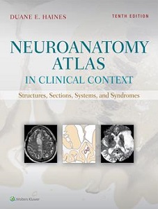 Neuroanatomy Atlas in Clinical Context book cover