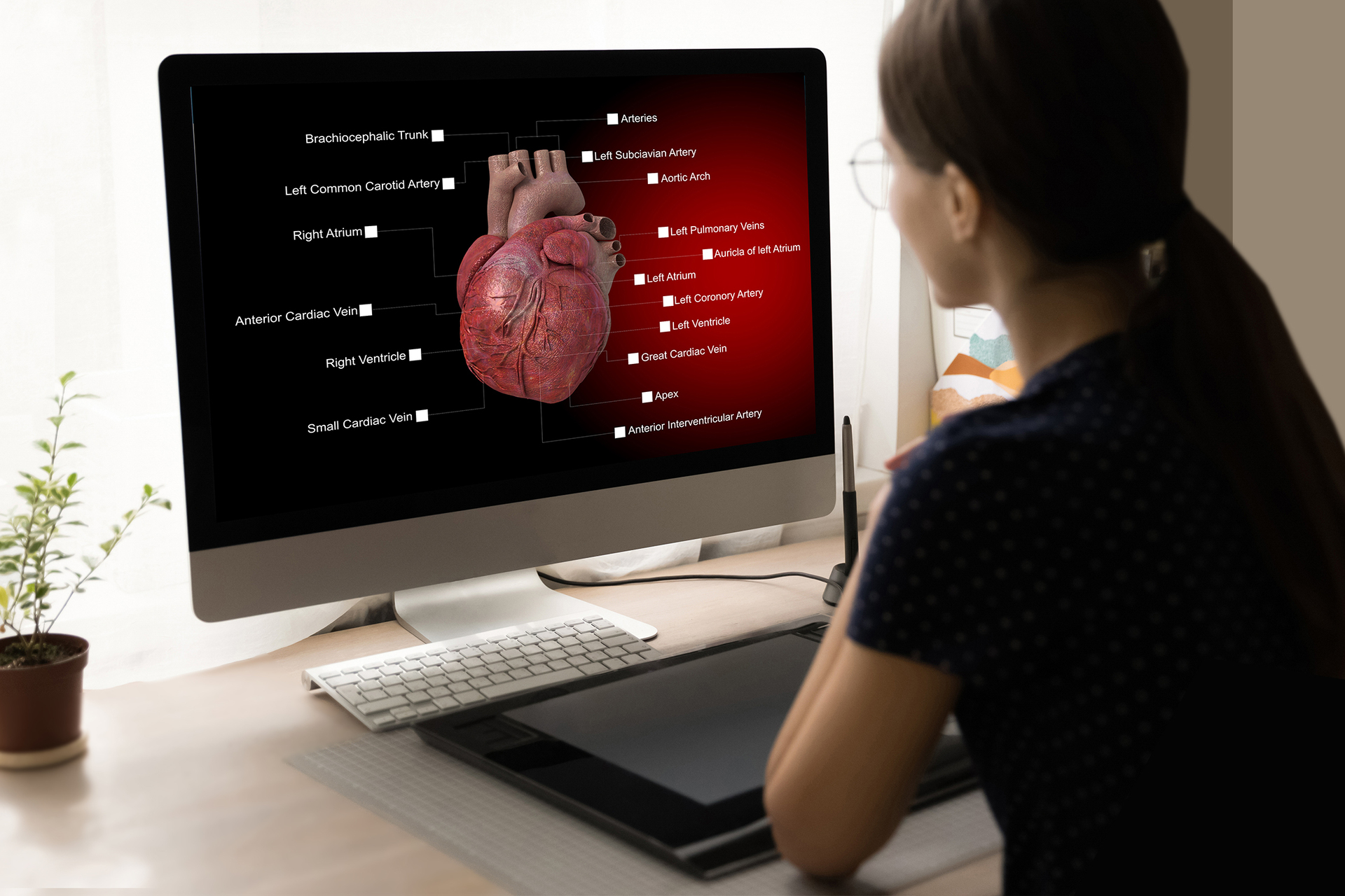 Woman reading image of heart on computer screen