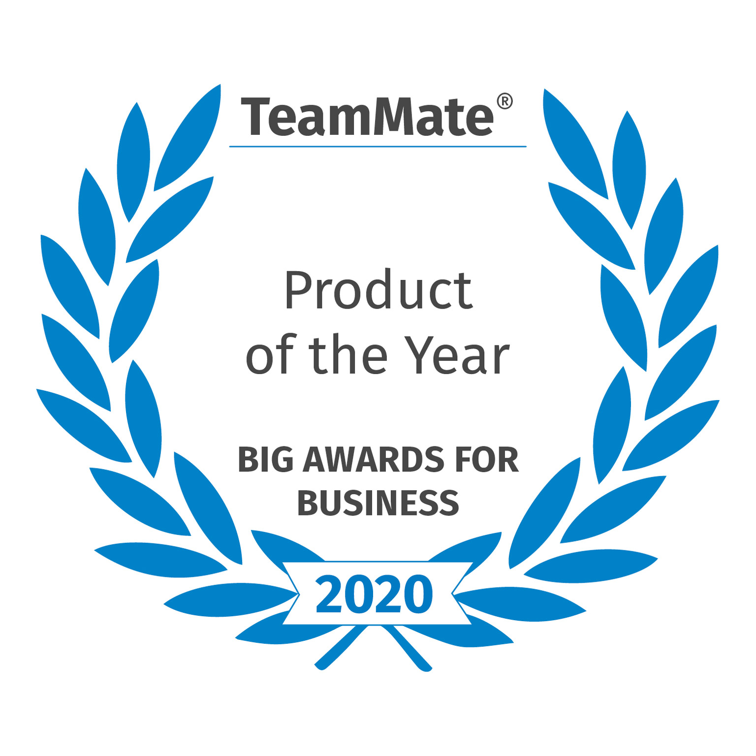 TeamMate Big Awards for Business 2020 Product of the Year