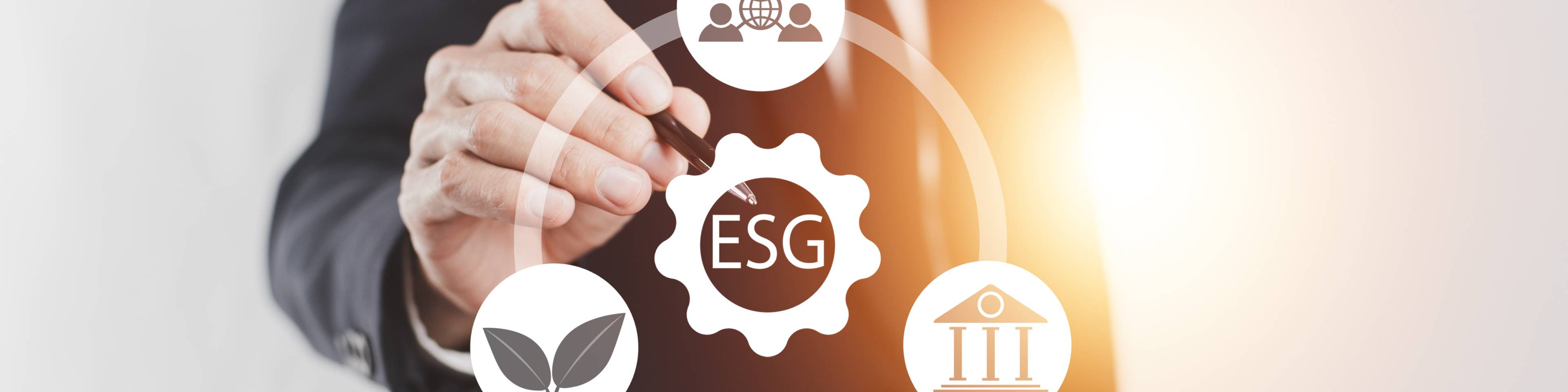 ESG lawyer