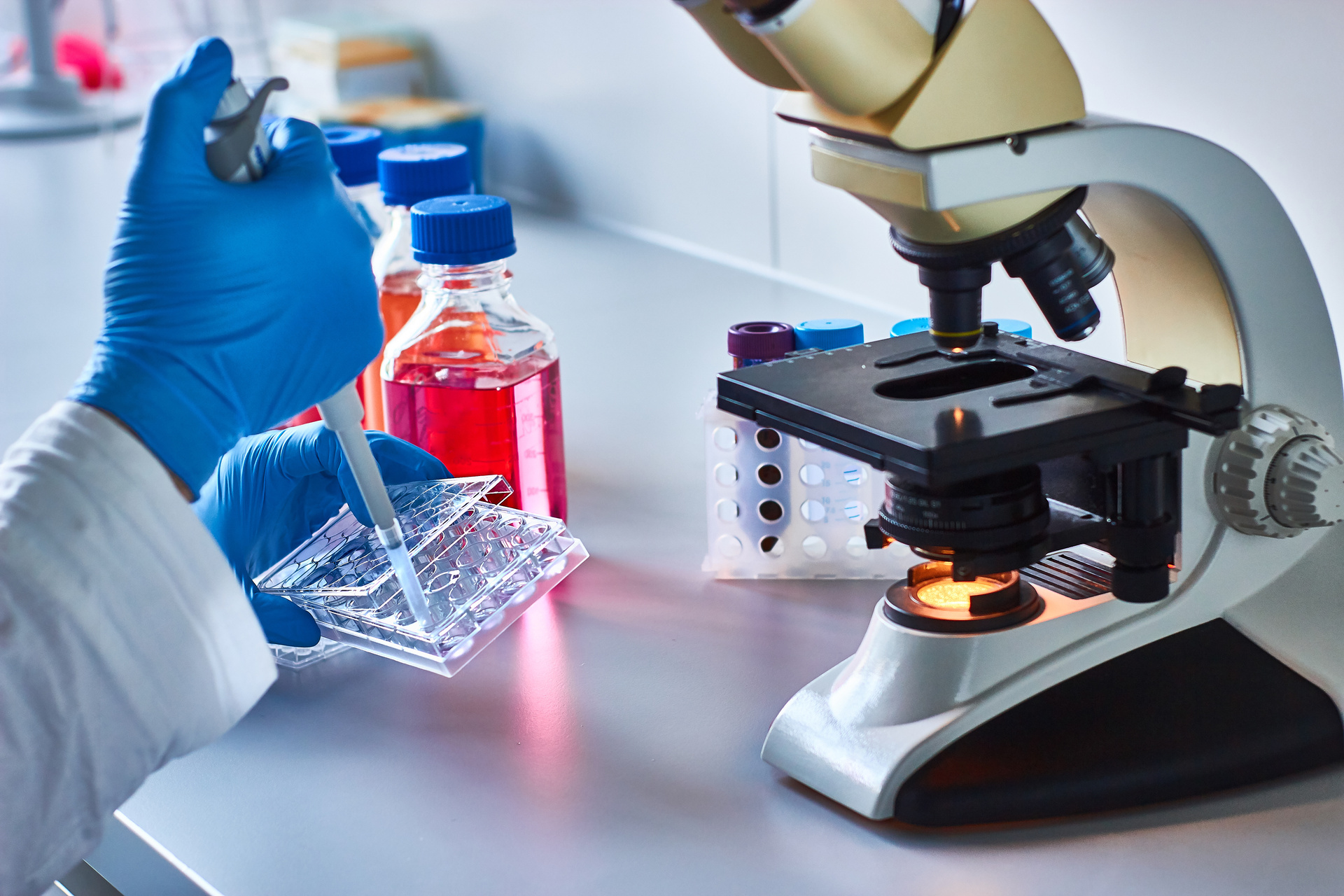 Close up samples being loaded onto a microscope slide