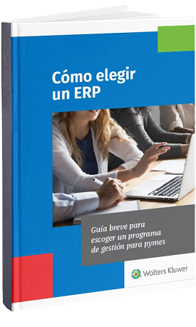 Ebook: Cómo seleccionar un ERP