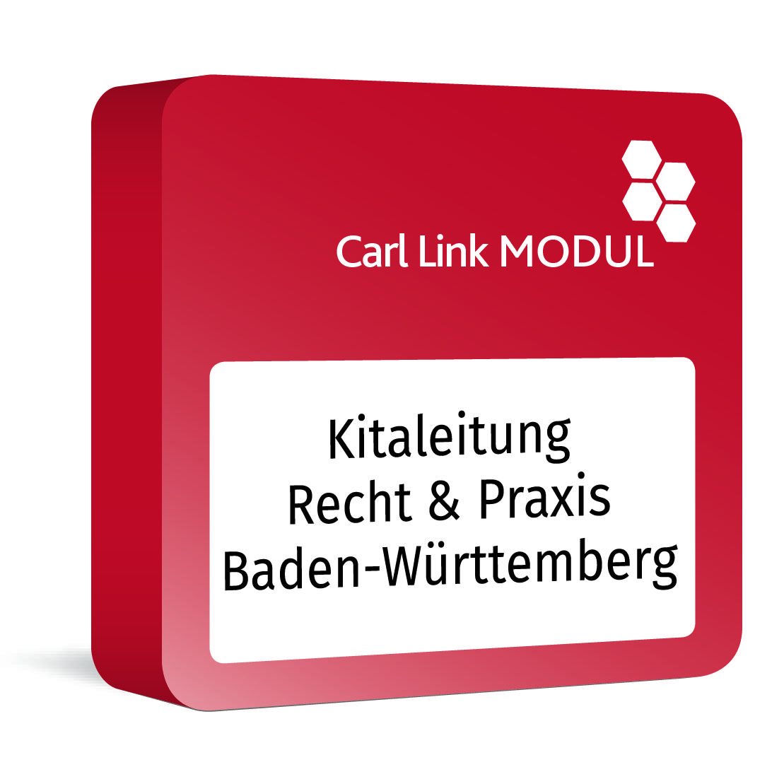 Carl Link Modul Kitaleitung Baden-Württemberg