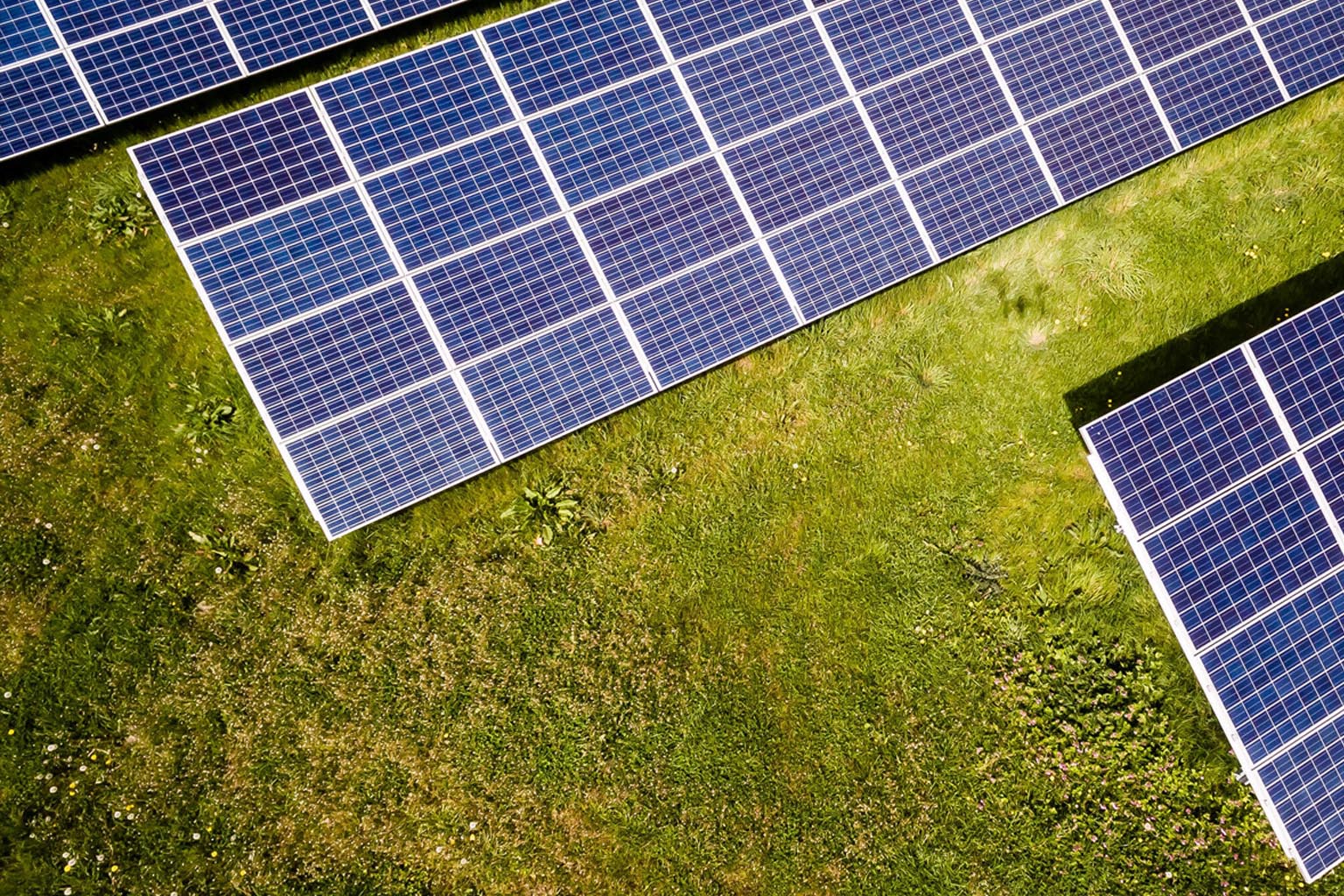 solar panels on grass