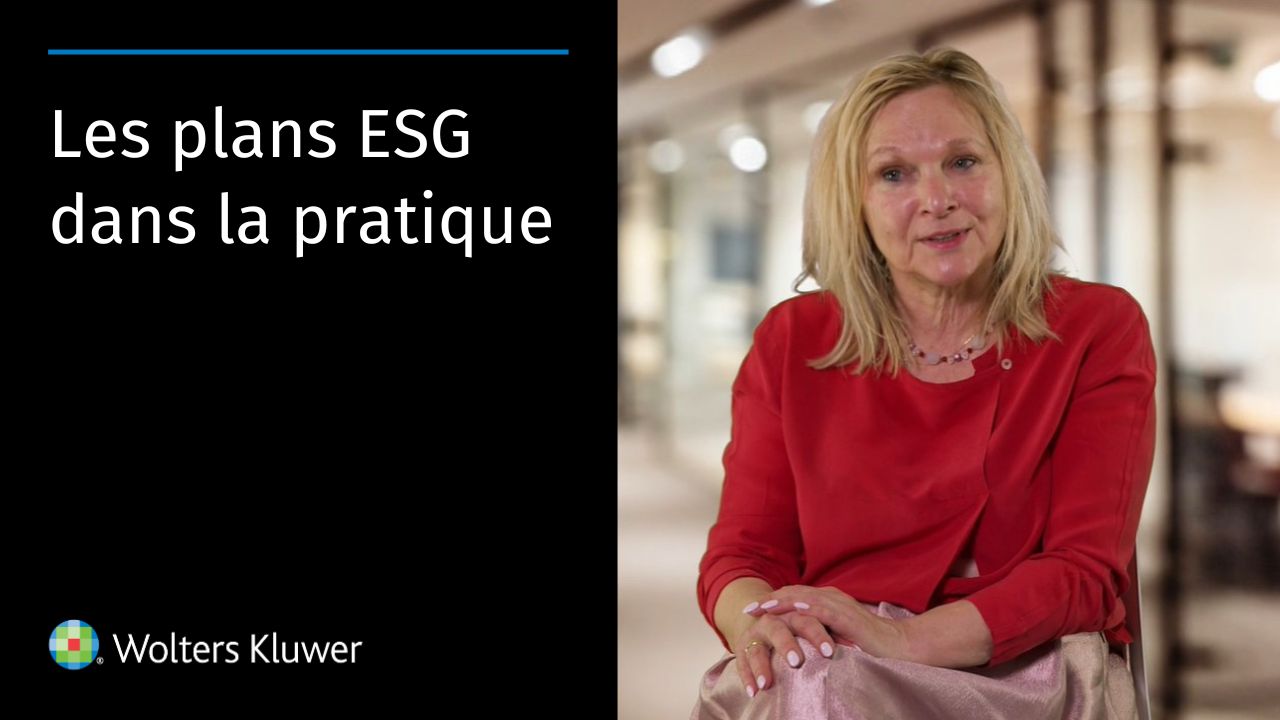 Les plans ESG dans la pratique