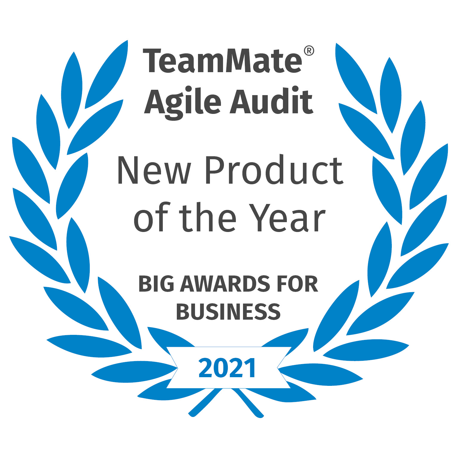 TeamMate+ Agile Audit - New Product of the Year - Big Awards for Business 2021
