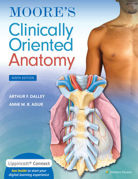 Book cover for Moores Anatomy
