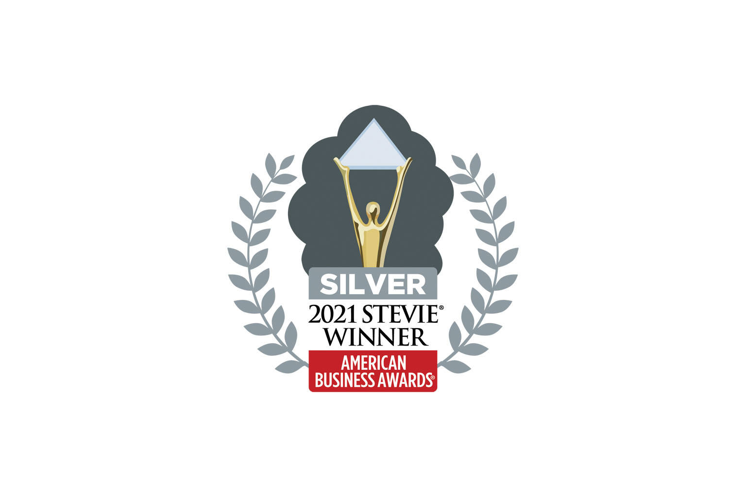 2021 Stevie Silver Award