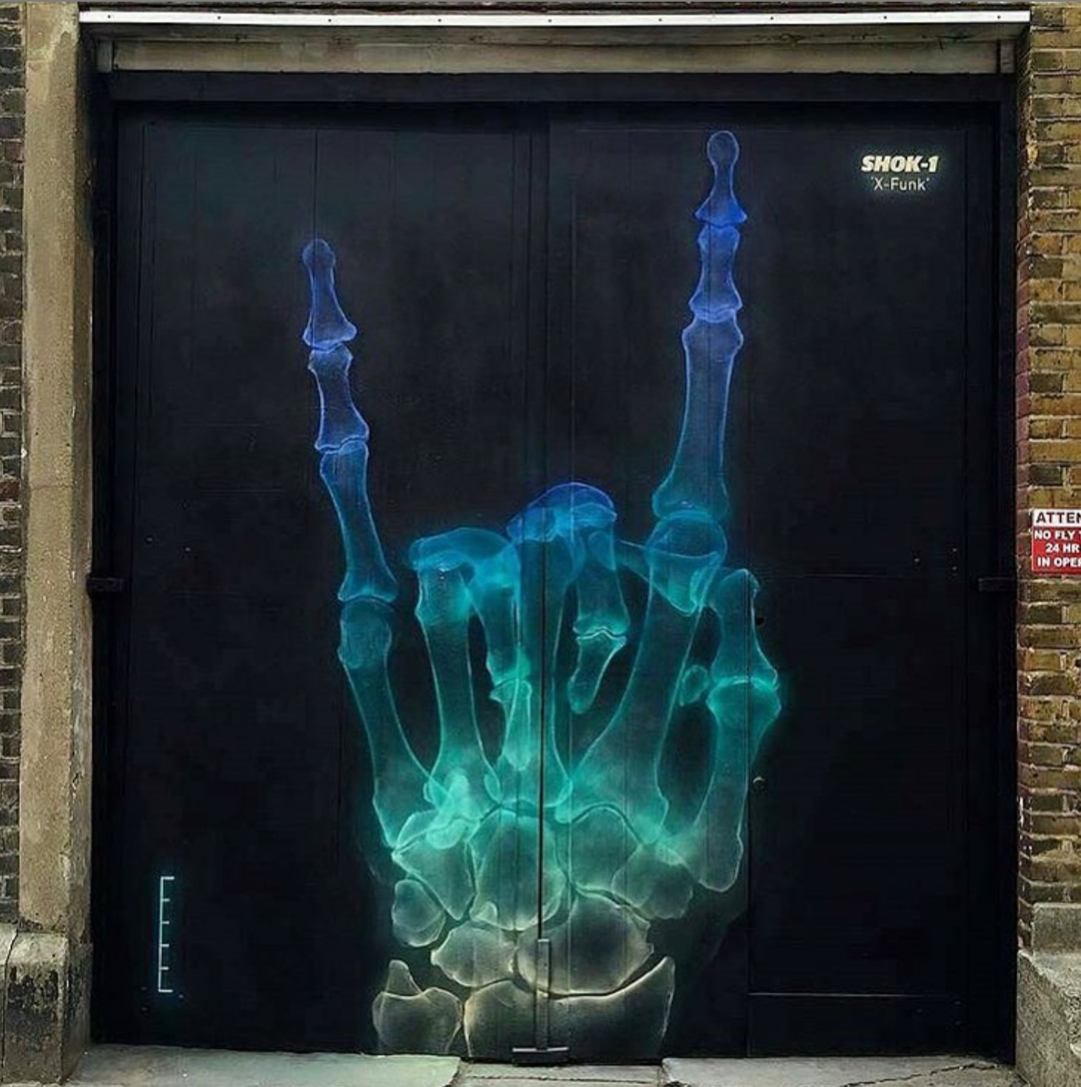 aerosol X-ray art of a hand by SHOK-1