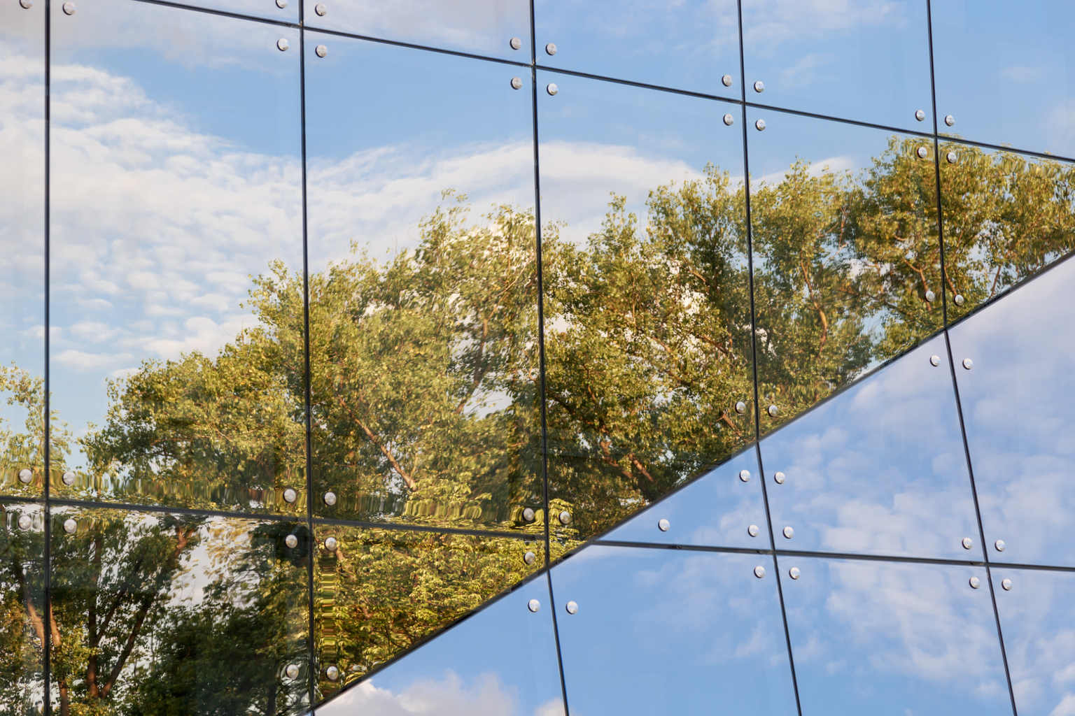 Low Angle View Of Trees Reflecting On Modern Glass Building