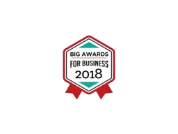 Big Awards for Business 2018