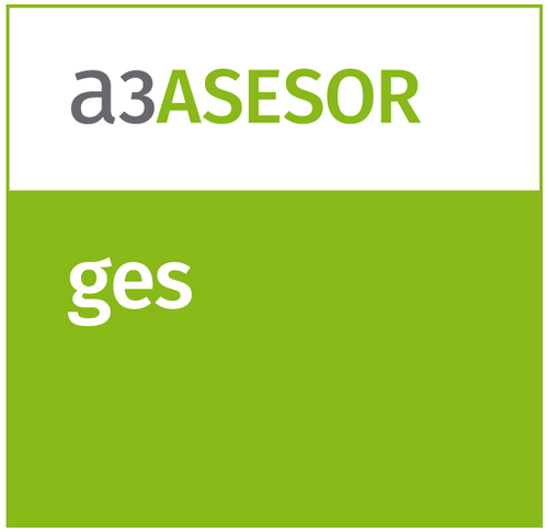 a3ASESOR-ges-3