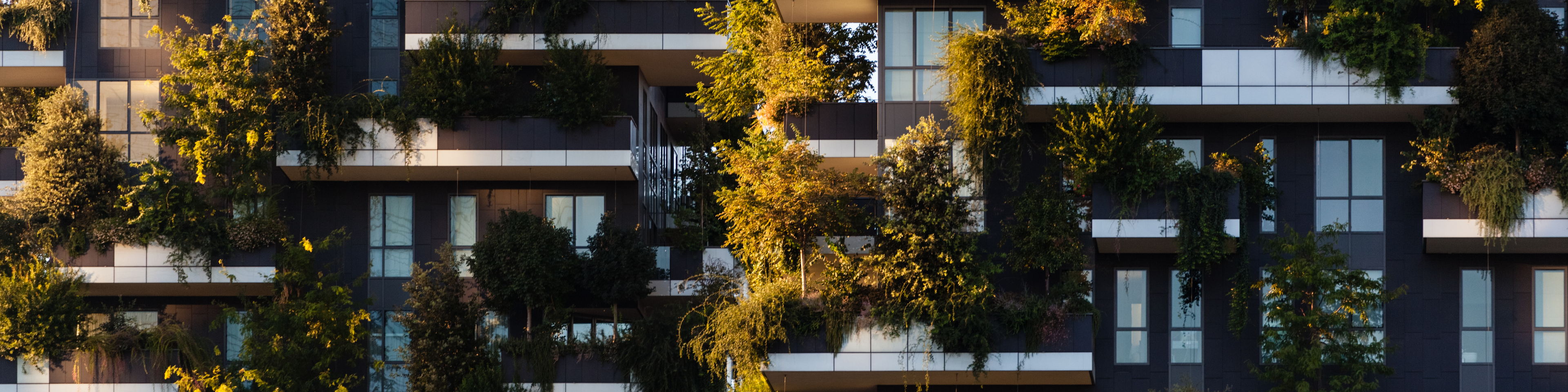 Plants Growing Outside Building Vertical Garden