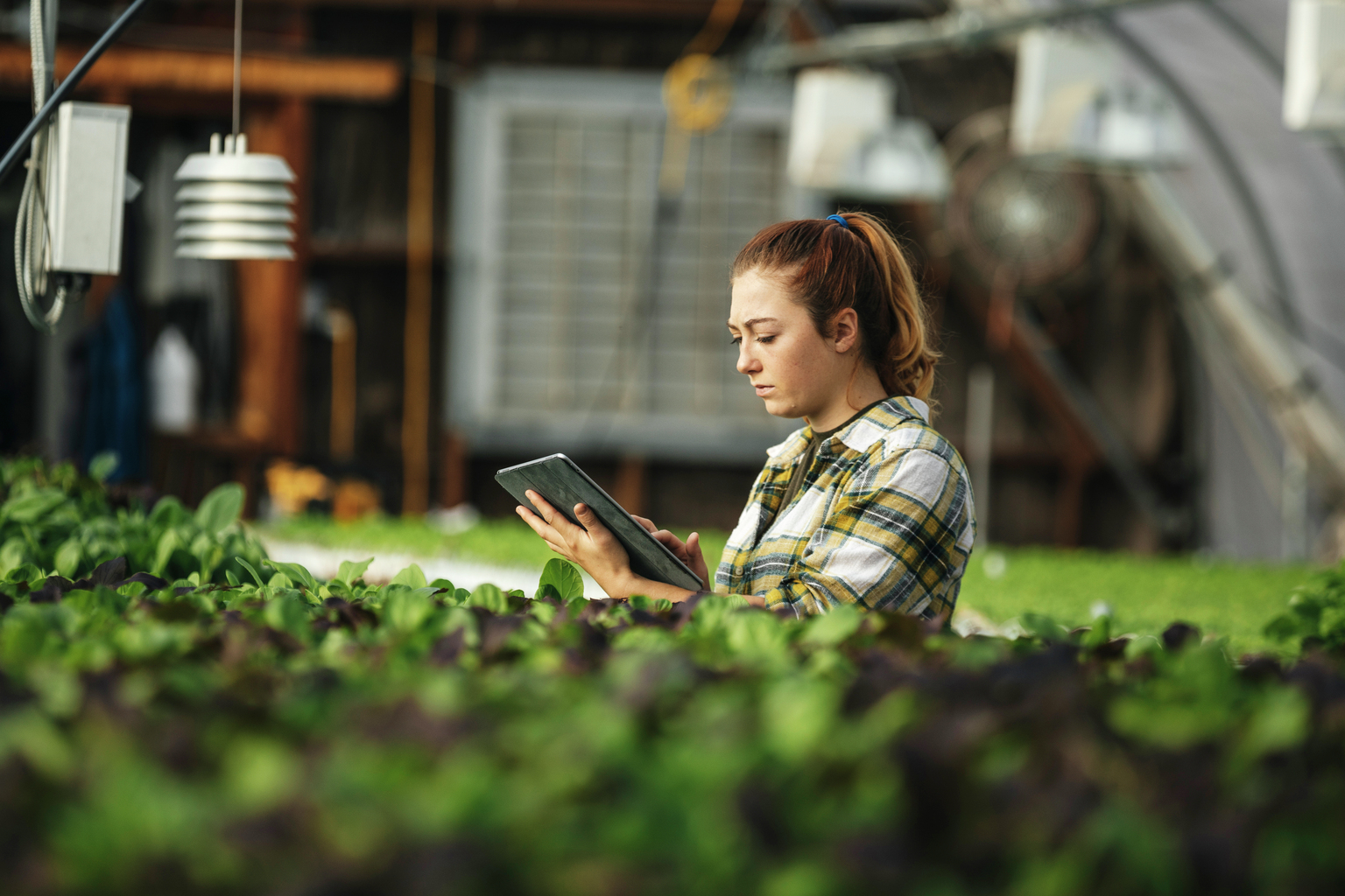 Female farm worker using digital tablet in greenhouse
