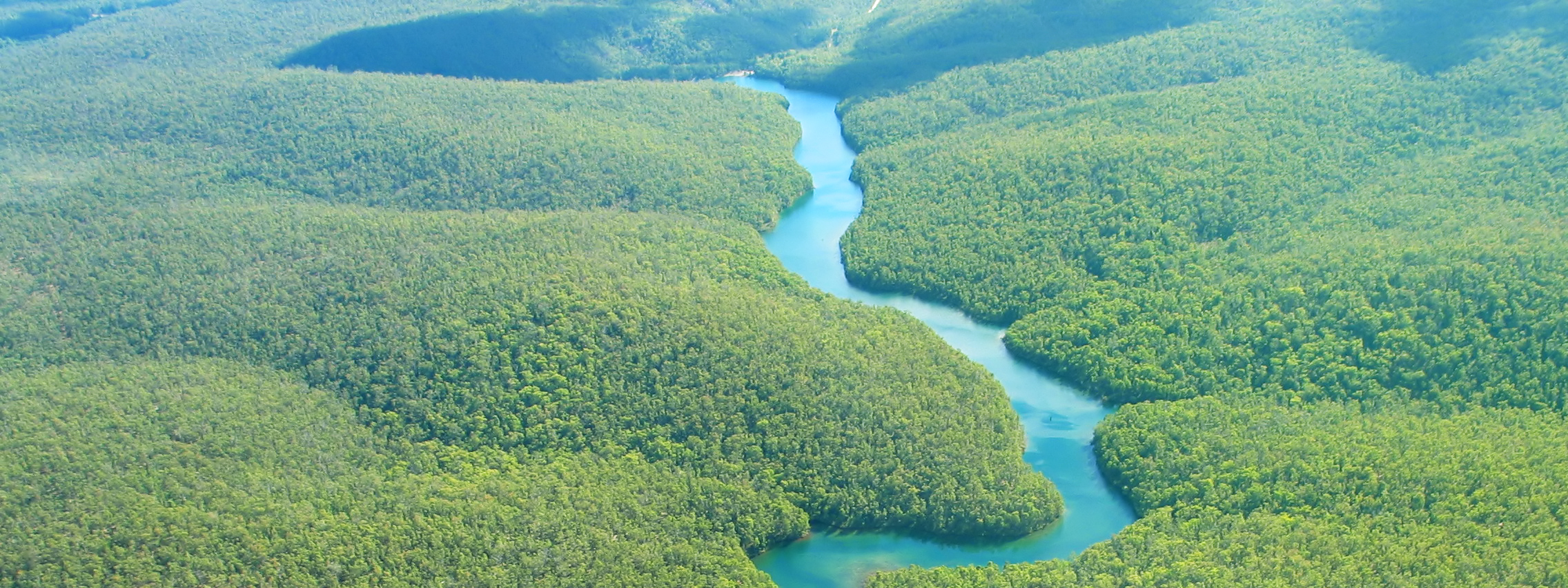 Greenery and River Aerial Photo
