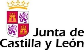 Junta de Castilla y Leon