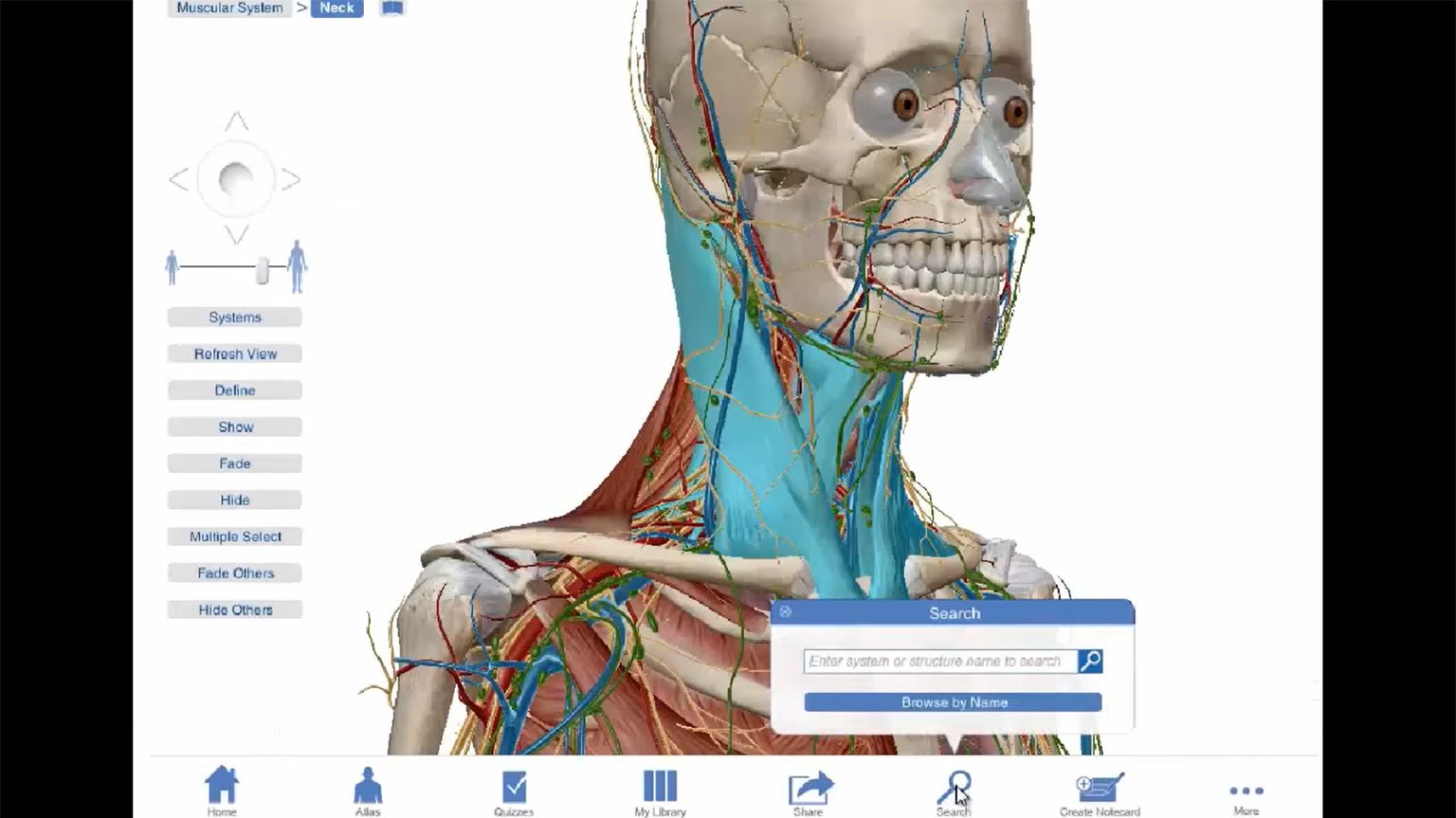 Screenshot of Visible Body Anatomy Education Solutions on Ovid video