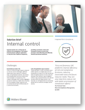 Solution Brief Preview_Internal Control