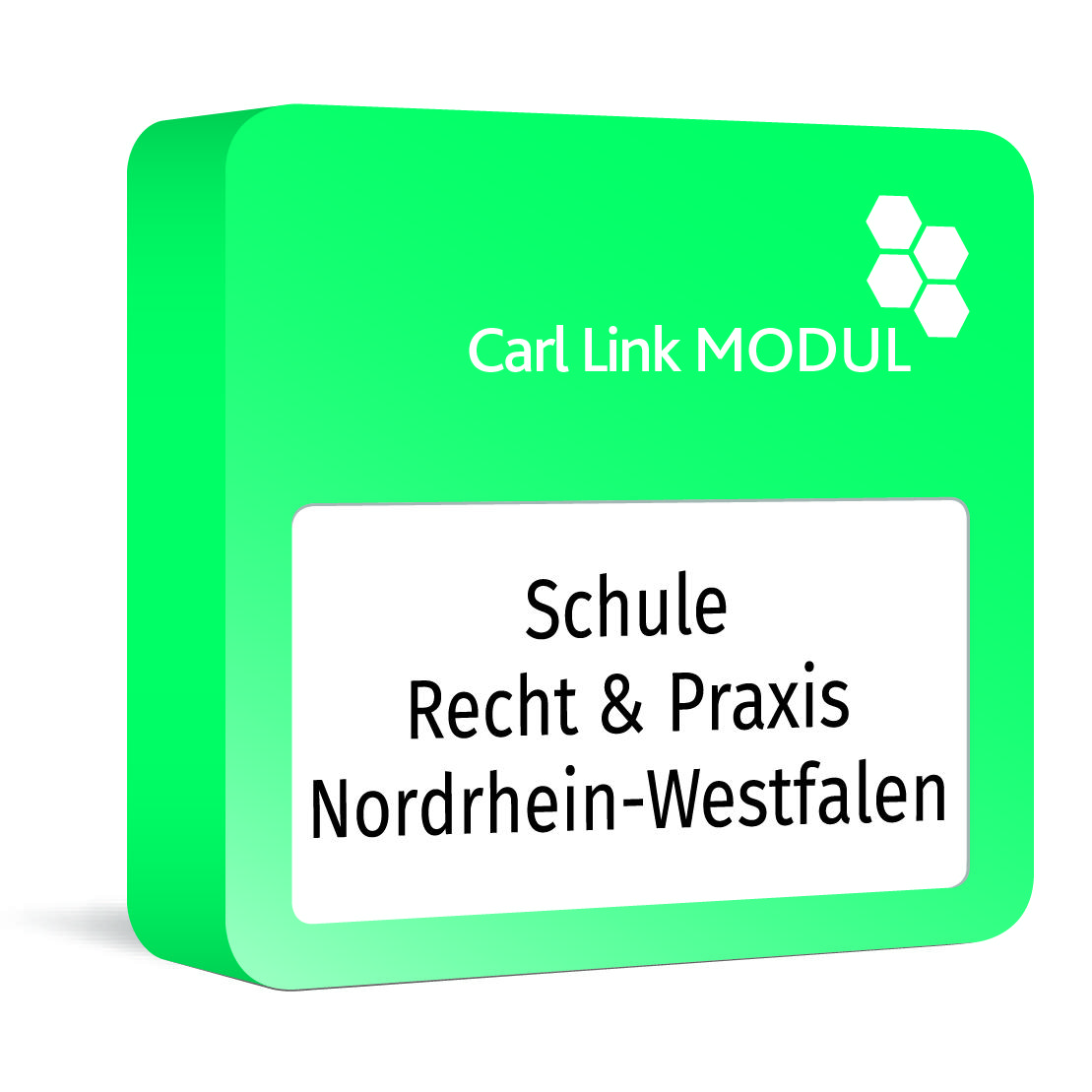 Carl Link Modul Schule - Recht & Praxis Nordrhein-Westfalen