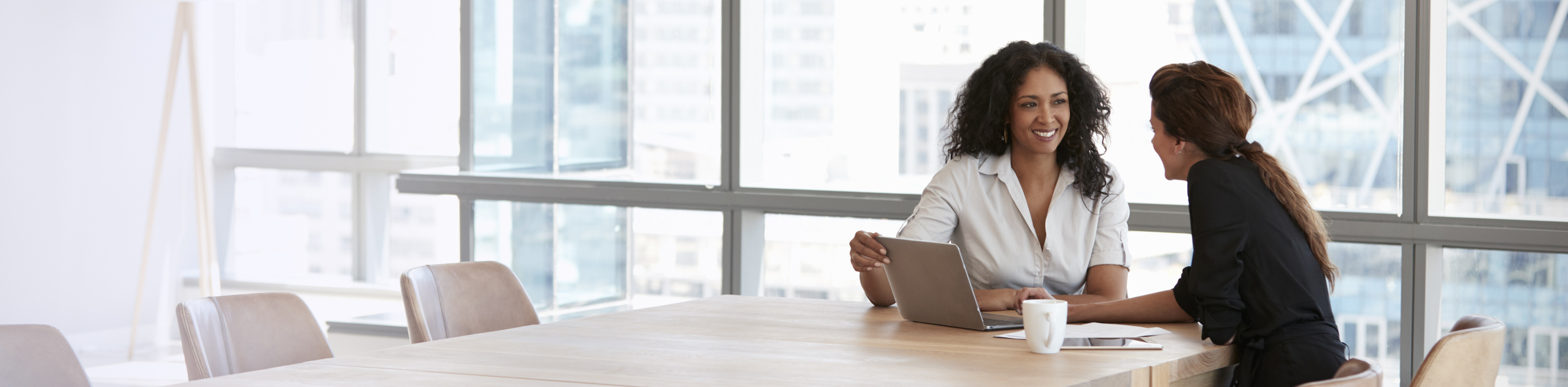 Two Businesswomen Using Laptop In Boardroom Meeting