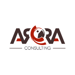 ARRA consulting