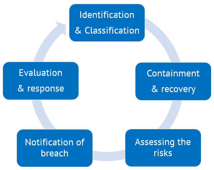 data-breach-management-steps