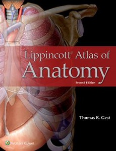 Lippincott Atlas of Anatomy book cover