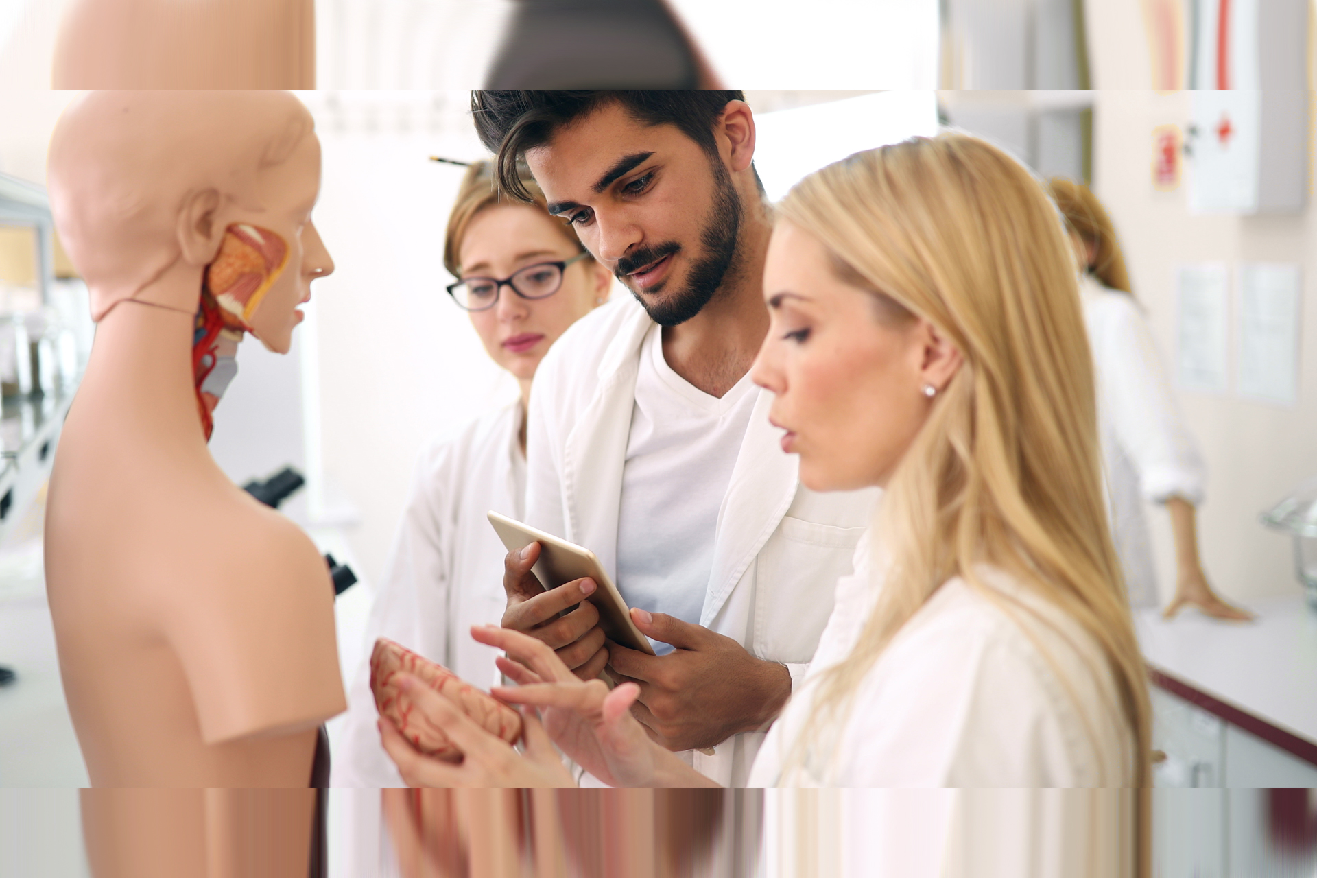 Students of medicine examining anatomical model in classroom