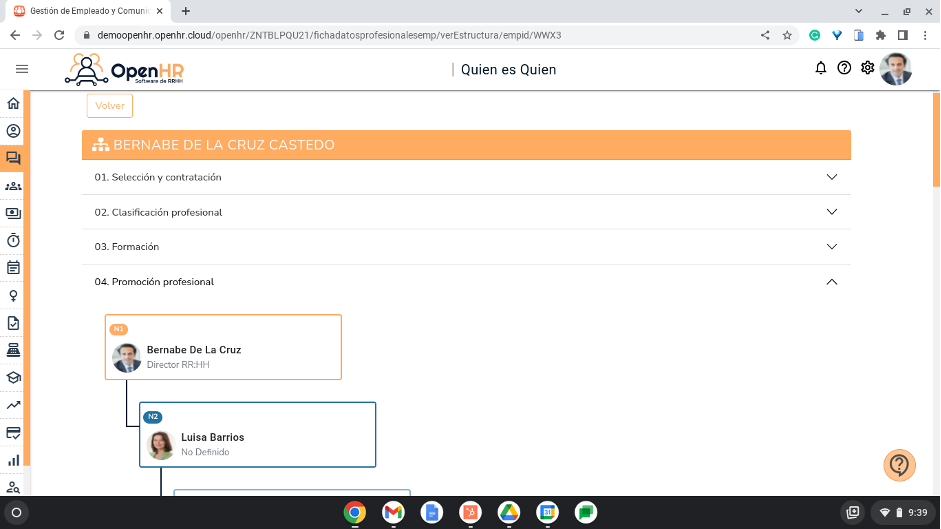 Organigrama específico Open HR